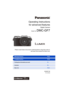 Handleiding Panasonic DMC-GF7GN Lumix Digitale camera
