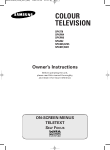Bruksanvisning Samsung SP43Q5HLR TV