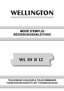 Bedienungsanleitung Wellington WL19B12 LCD fernseher