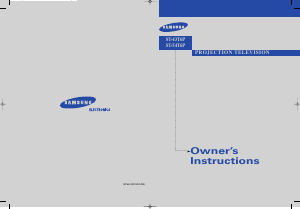 Bruksanvisning Samsung ST-43T6P TV