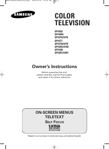 Bruksanvisning Samsung SP-43R1HL TV