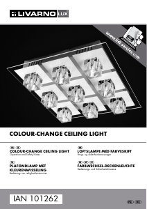 Bruksanvisning LivarnoLux IAN 101262 Lampa