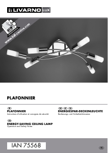 Bruksanvisning LivarnoLux IAN 75568 Lampa