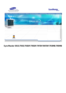 Manual Samsung 795DF SyncMaster Monitor
