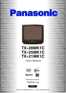 Bruksanvisning Panasonic TX-25MK1C TV