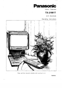 Bruksanvisning Panasonic TX-21M1T TV