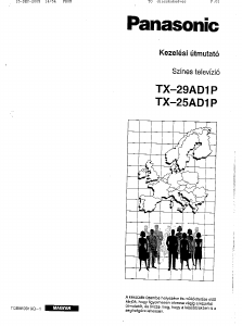 Használati útmutató Panasonic TX-25AD1P Televízió
