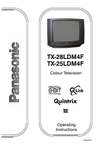 Bruksanvisning Panasonic TX-25LDM4F TV