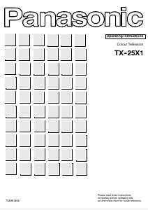Bruksanvisning Panasonic TX-25X1 TV