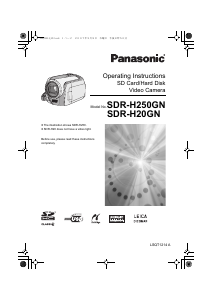 Handleiding Panasonic SDR-H250GN Camcorder