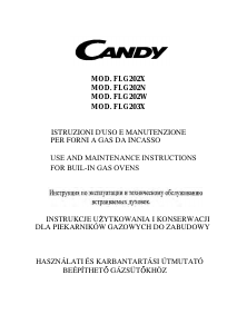 Használati útmutató Candy FLG 202 X Kemence