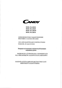 Manuale Candy FLG 203 X Forno