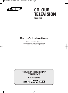 Handleiding Samsung SP-43H3HT Televisie