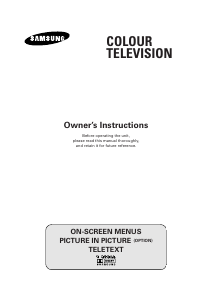 Bruksanvisning Samsung WS28V65V TV
