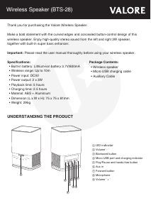 Handleiding Valore BTS-28 Luidspreker