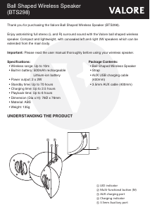 Handleiding Valore BTS298 Luidspreker