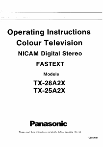 Bruksanvisning Panasonic TX-28A2X TV