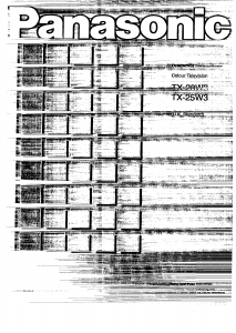 Handleiding Panasonic TX-28W3 Televisie