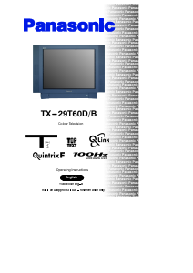 Bruksanvisning Panasonic TX-29T60DB TV