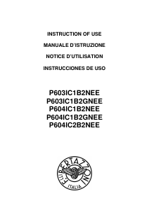 Manual de uso Bertazzoni P604IC1B2NEE Placa