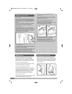 Manual Morphy Richards 300604 Turbosteam Iron