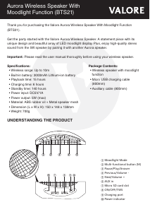 Handleiding Valore BTS21 Luidspreker