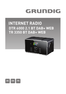 Handleiding Grundig DTR 6000 2.1 BT DAB+ WEB Radio