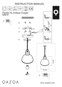 Bruksanvisning Qazqa 94914 Pointer Lampe