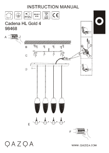 Manual de uso Qazqa 98468 Catena Lámpara