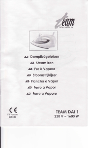 Mode d’emploi Team DAI 1 Fer à repasser
