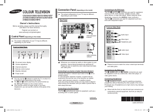 Bruksanvisning Samsung CS21B850F6 TV