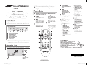 Bruksanvisning Samsung CS21D531FJ TV