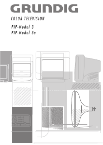 Mode d’emploi Grundig PIP-Modul 3 Téléviseur