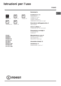Manual de uso Indesit IP 641 S GH Placa