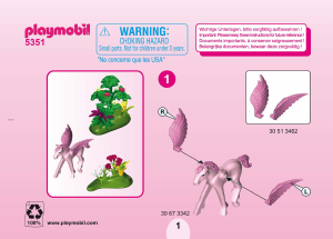 Mode d’emploi Playmobil set 5351 Fairy World Fée printemps avec poulain ailé rose