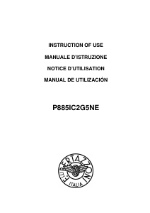 Manual de uso Bertazzoni P885IC2G5NE Placa
