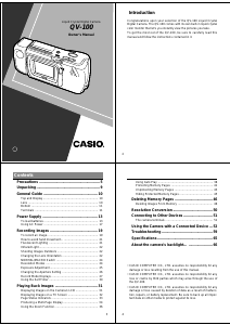 Manual Casio QV-100 Digital Camera