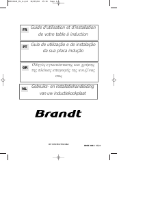 Manual Brandt TI380BT1 Placa