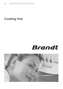 Handleiding Brandt TI1013B Kookplaat