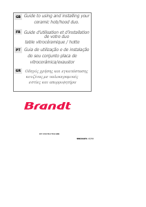 Manual Brandt TV399XF1 Placa