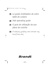 Manual Brandt TE212XS1 Placa