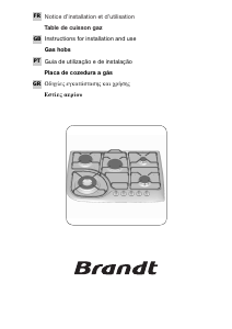 Manual Brandt TE576XS1 Placa