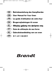 Bedienungsanleitung Brandt FV400XS1 Backofen