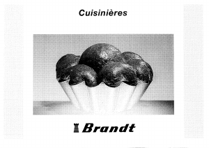 Mode d’emploi Brandt 550GS02C Cuisinière