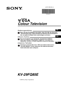 Εγχειρίδιο Sony KV-29FQ85E Τηλεόραση