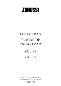 Manual de uso Zanussi ZGL65IN Placa