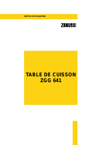 Mode d’emploi Zanussi ZGG641IY Four