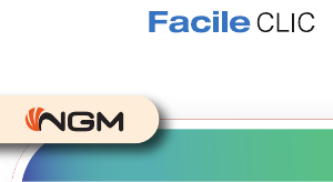 Manual NGM Facile Clic Mobile Phone