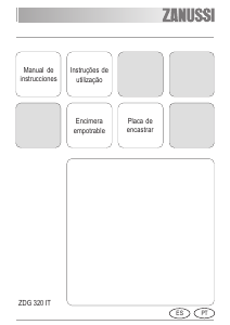 Manual de uso Zanussi ZDG320ITX Placa