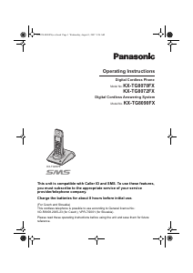 Manual Panasonic KX-TG8070FX Wireless Phone